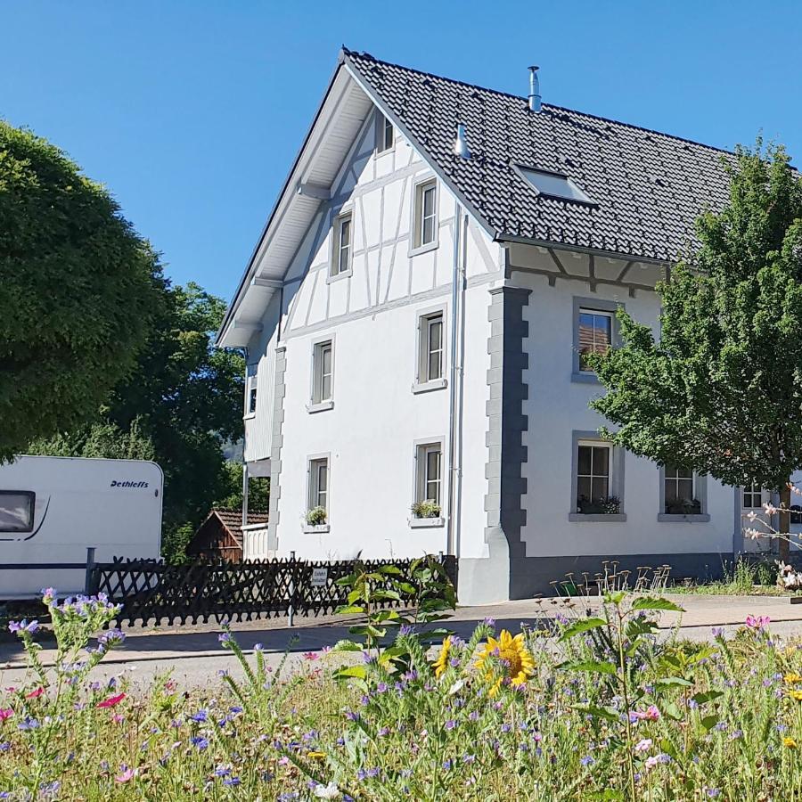 Apartment Suedwind - Beautiful Premium Apartment With 2 Bedrooms Near Rhine Falls & Zurich Airport In Klettgau Weisweil  外观 照片