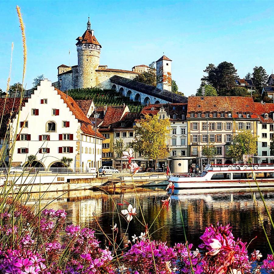 Apartment Suedwind - Beautiful Premium Apartment With 2 Bedrooms Near Rhine Falls & Zurich Airport In Klettgau Weisweil  外观 照片