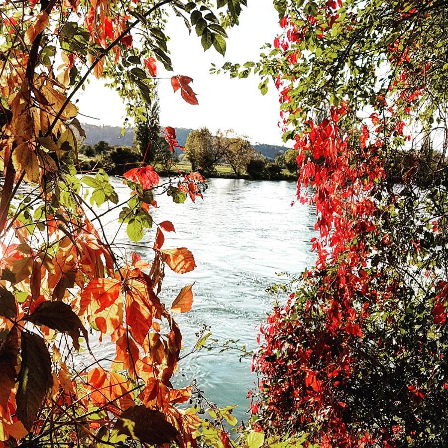 Apartment Suedwind - Beautiful Premium Apartment With 2 Bedrooms Near Rhine Falls & Zurich Airport In Klettgau Weisweil  外观 照片